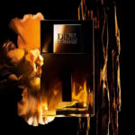⁦ديور هوم - عطر بارفيوم او دو بارفيوم 75 مل اصدار 2025⁩ - الصورة ⁦2⁩